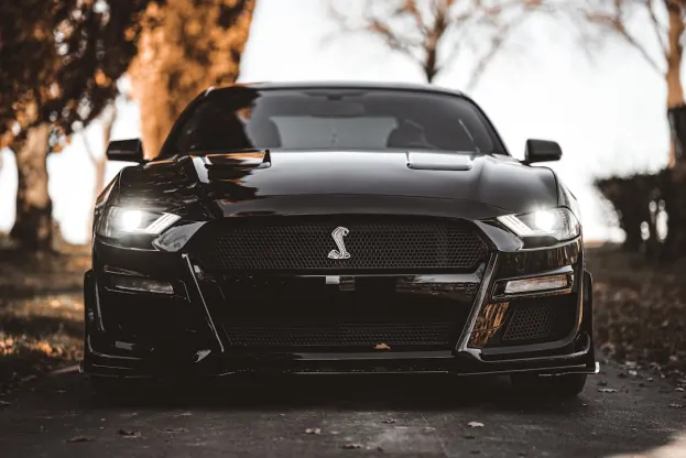 بييواراي كازينو تطبيق أندرويد/آي أو إس